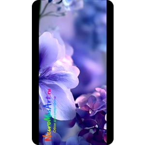 Лавандовые грёзы / Lavender Dreams