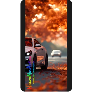 Осенний дрифт / Autumn Drift