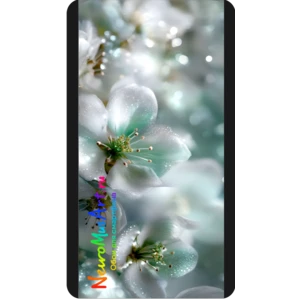 Весеннее пробуждение / Spring Awakening