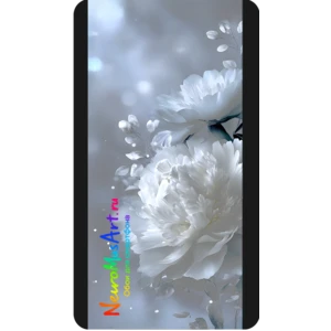 Белые пионы / White Peonies