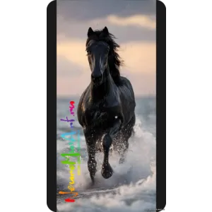 Хёльварр / The Black Wind